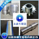 21CrMo10材質鍛件