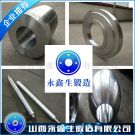 21CrMoV5-7材質鍛件