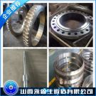 EN10222-5材質(zhì)鍛造