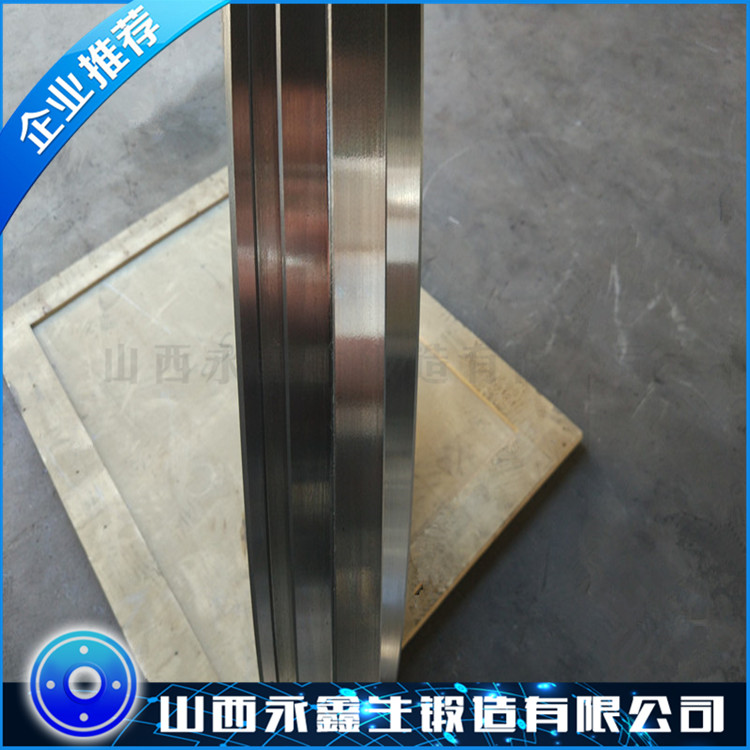 攪拌機滾道鍛件